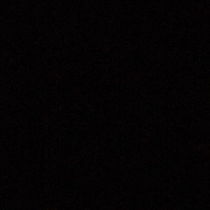 Meet your Posher, Delbert